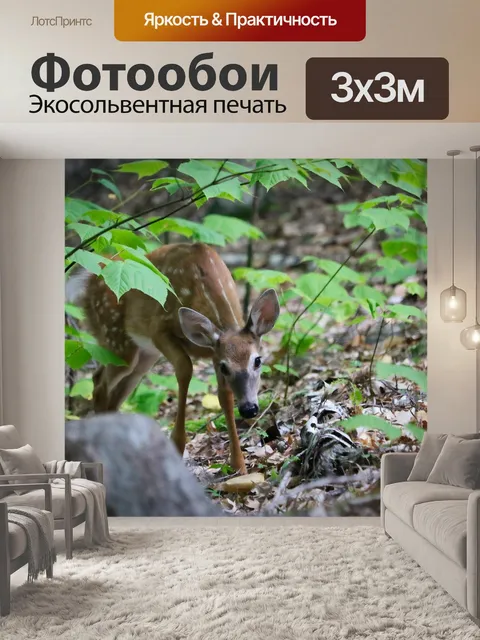 Фотообои желтовато-коричневый