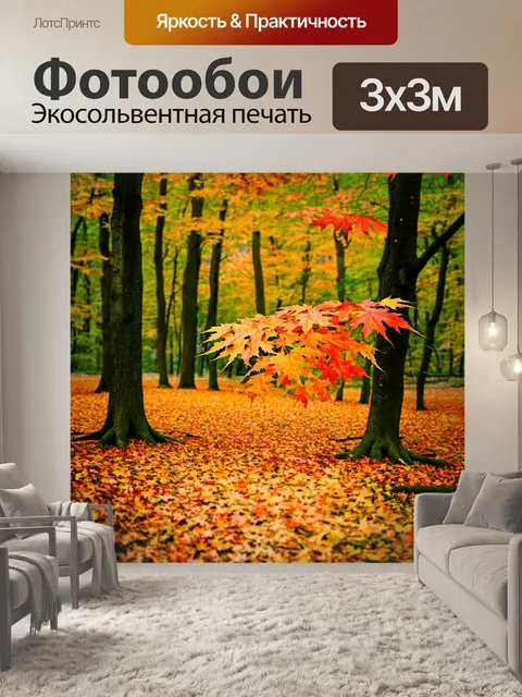 Фотообои лес с красочными листьями клёна, которые легли на землю