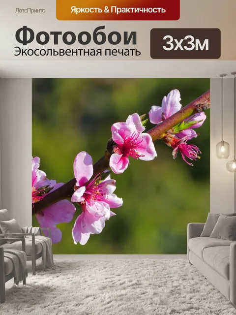 Фотообои Персик