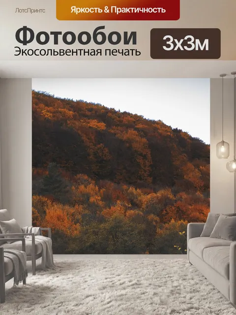 Фотообои Деревья