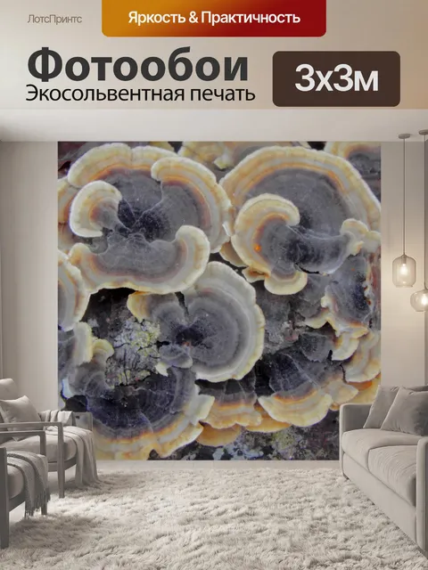 Фотообои природа