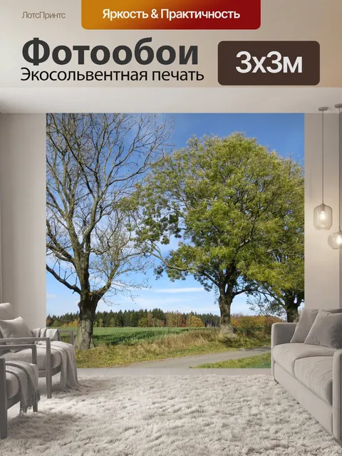 Фотообои Деревья вдоль пути