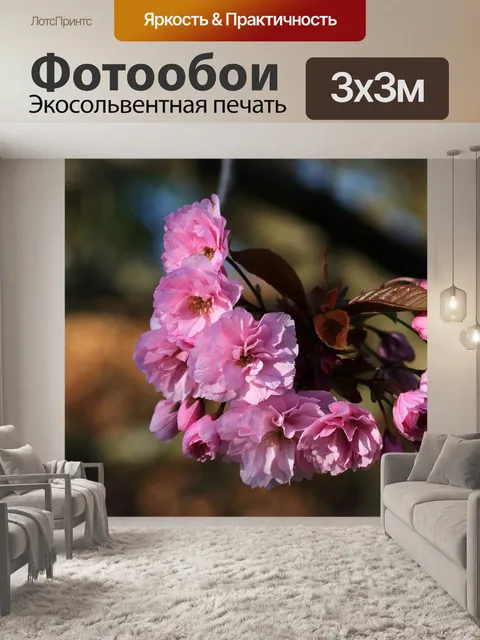 Фотообои Вишни в цвету