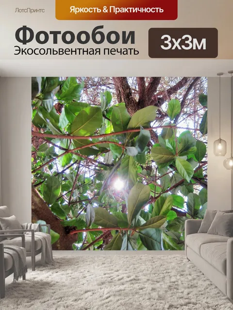 Фотообои Яркое солнце проникая листва
