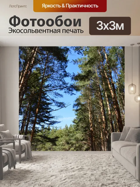 Фотообои Сосны