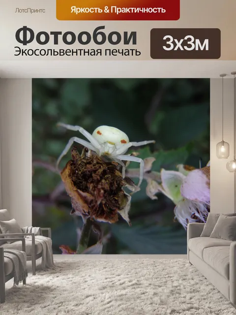 Фотообои Насекомое