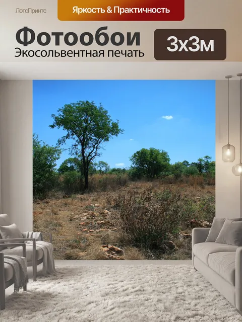 Фотообои вид на деревья и траву