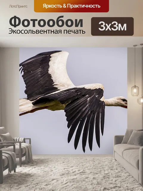 Фотообои Птица