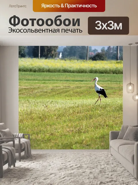 Фотообои Аист