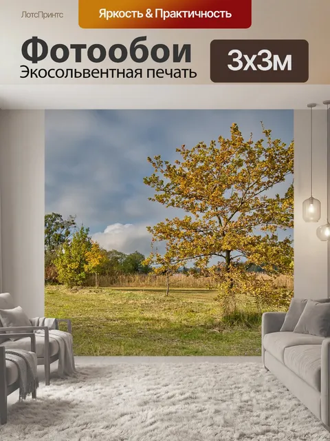 Фотообои Осень
