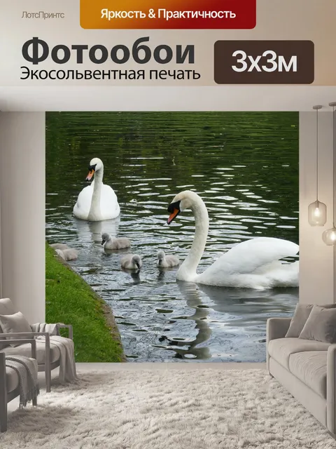Фотообои Птицы