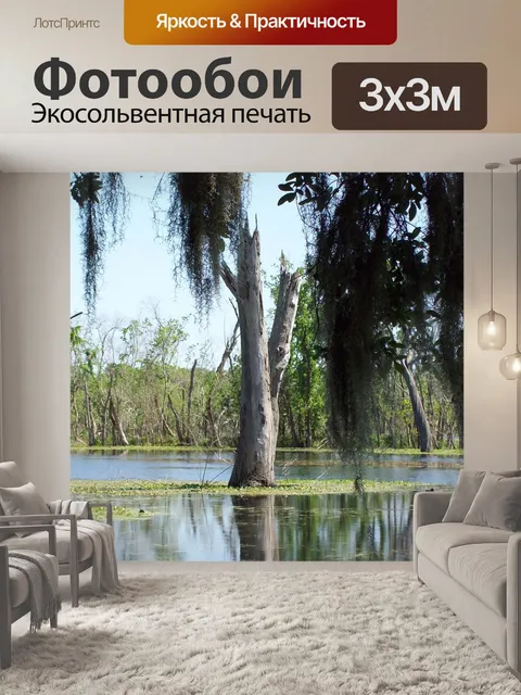 Фотообои Болото