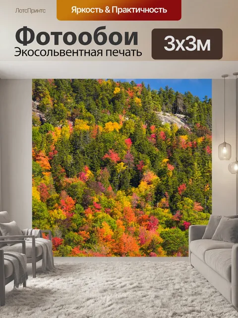 Фотообои Новая Англия листва
