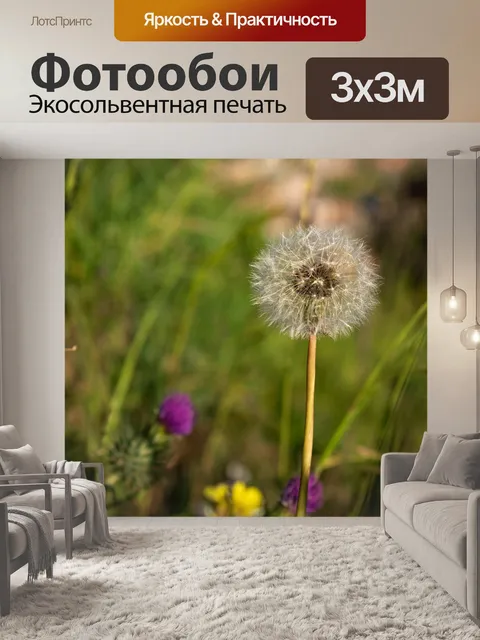 Фотообои Одуванчик