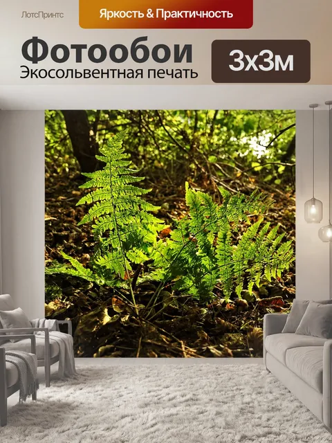 Фотообои Папоротник