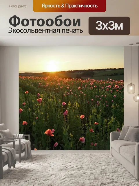 Фотообои Заход солнца