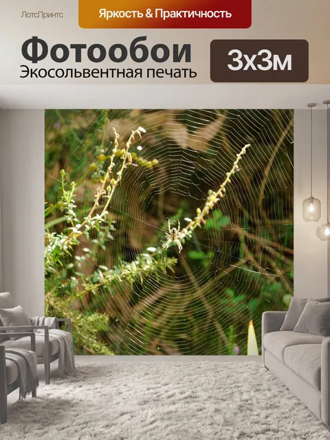 Фотообои Паук
