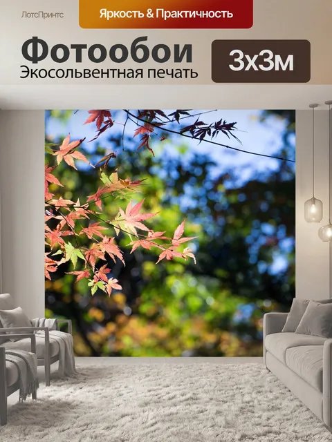 Фотообои Япония