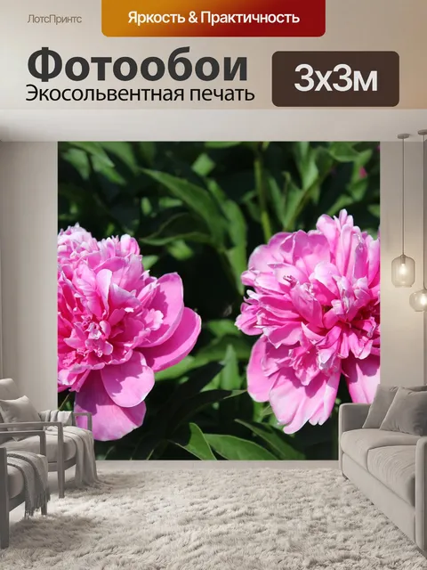 Фотообои Цветы