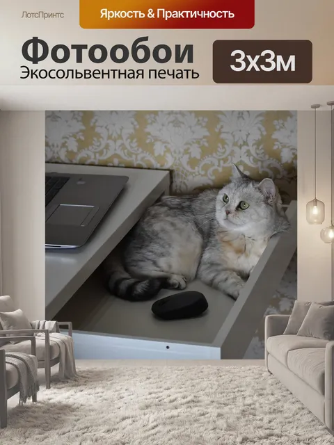 Фотообои Кошка