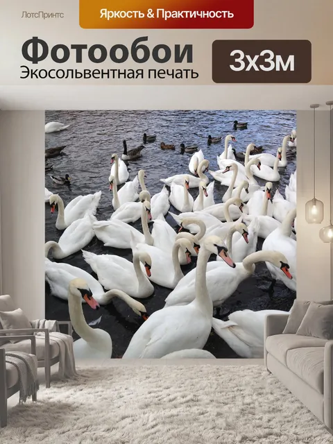 Фотообои Лебеди
