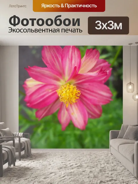 Фотообои Цветы