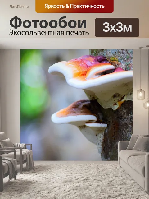 Фотообои Природа