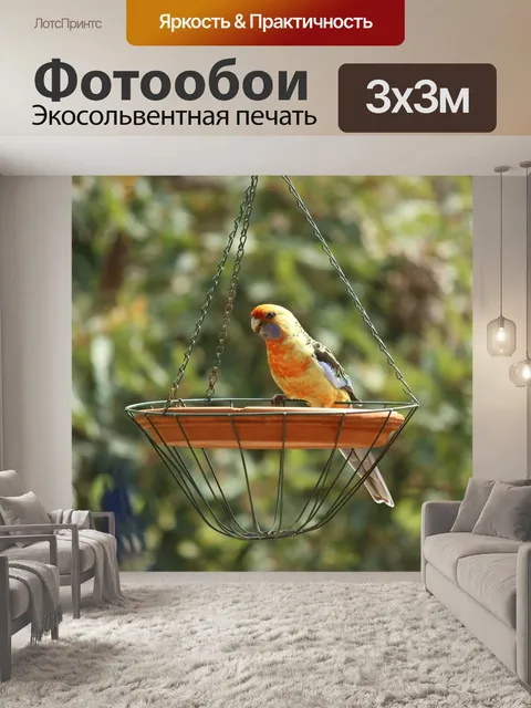 Фотообои Попугай