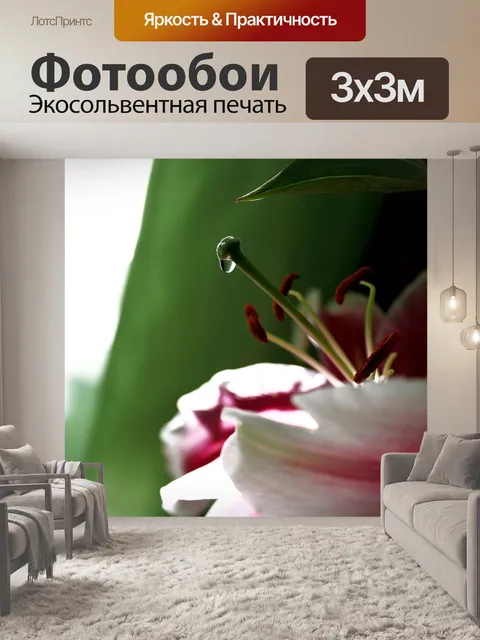 Фотообои Лилия