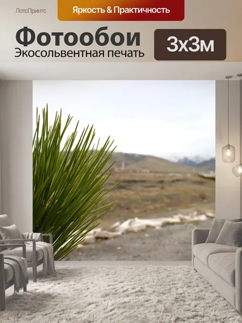 Фотообои Сосна