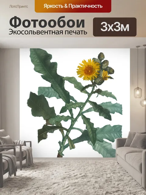 Фотообои Цветы