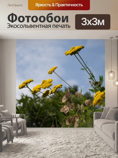 Фотообои Цветы