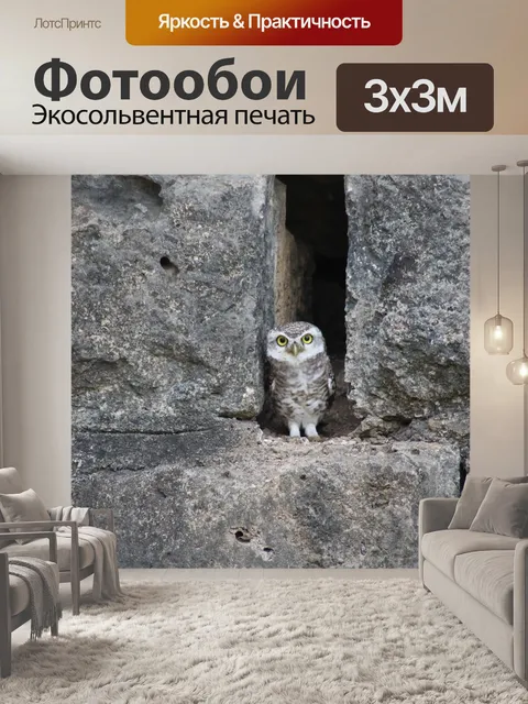 Фотообои Сова