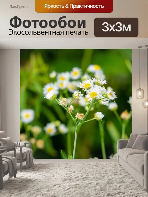 Фотообои Цветы