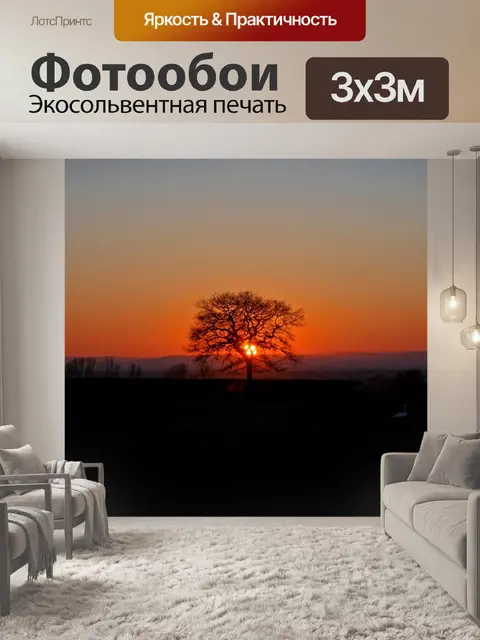 Фотообои Закат Дерево