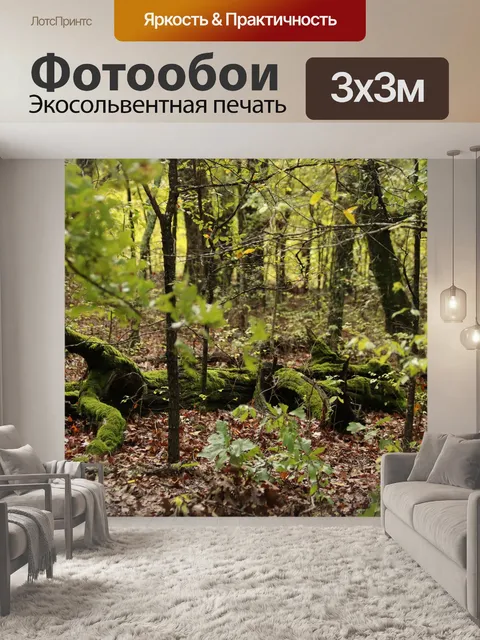 Фотообои Мосс покрыл падшее дерево в лесу