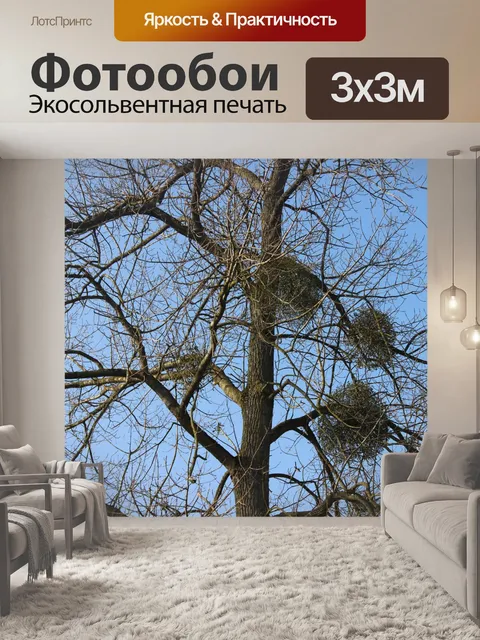 Фотообои Дерево