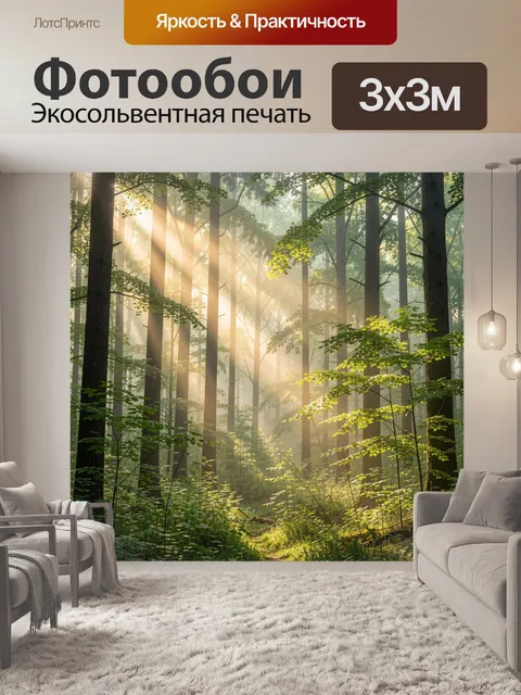 Фотообои Солнечный лес с лучами света