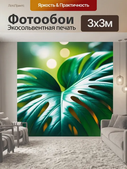 Фотообои с листьями монстеры крутой