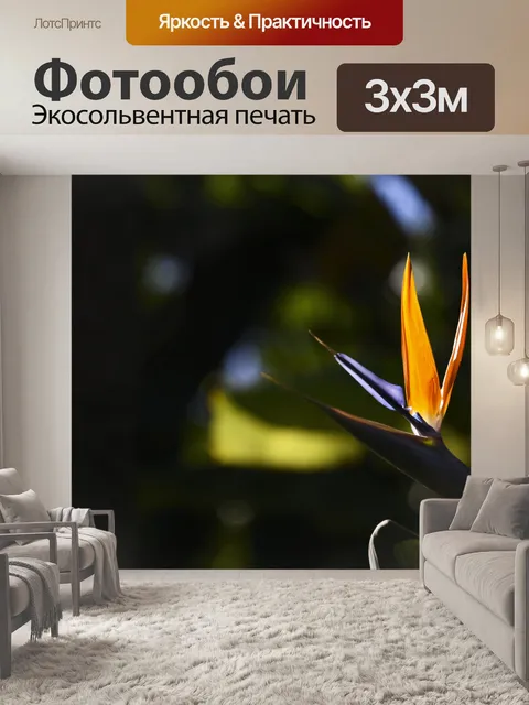 Фотообои Райская птица