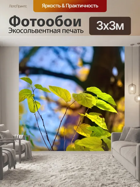 Фотообои Листья