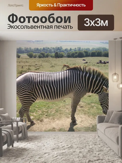 Фотообои Зебра