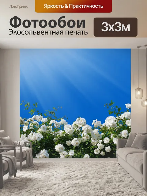Фотообои Розы небесно-голубое солнце