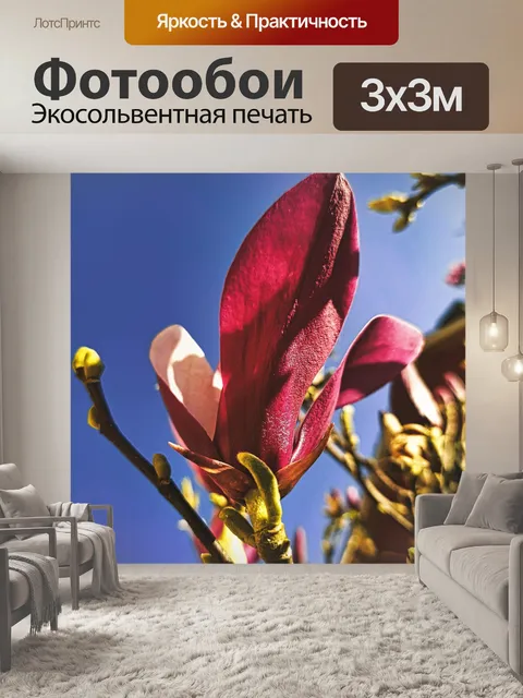 Фотообои Магнолия