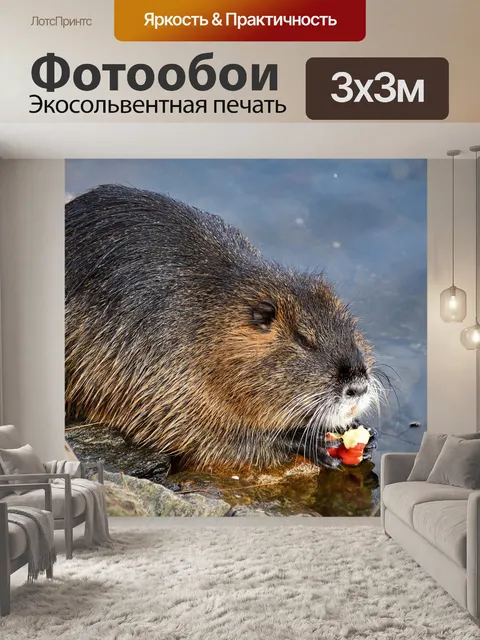 Фотообои Выдра