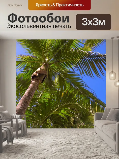 Фотообои Пальма против неба