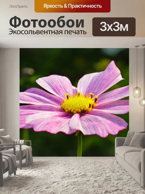 Фотообои Цветок
