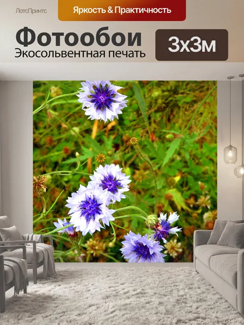 Фотообои Васильковый