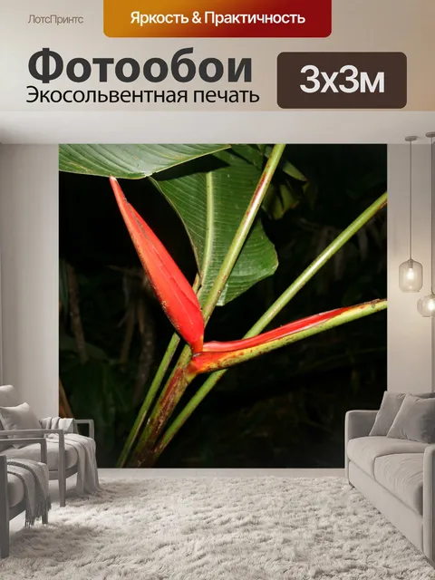 Фотообои Коста-Рика Цветы Райская птица