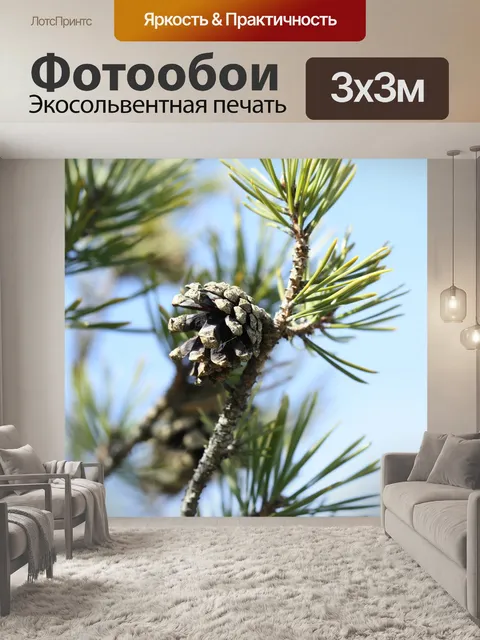 Фотообои Лес